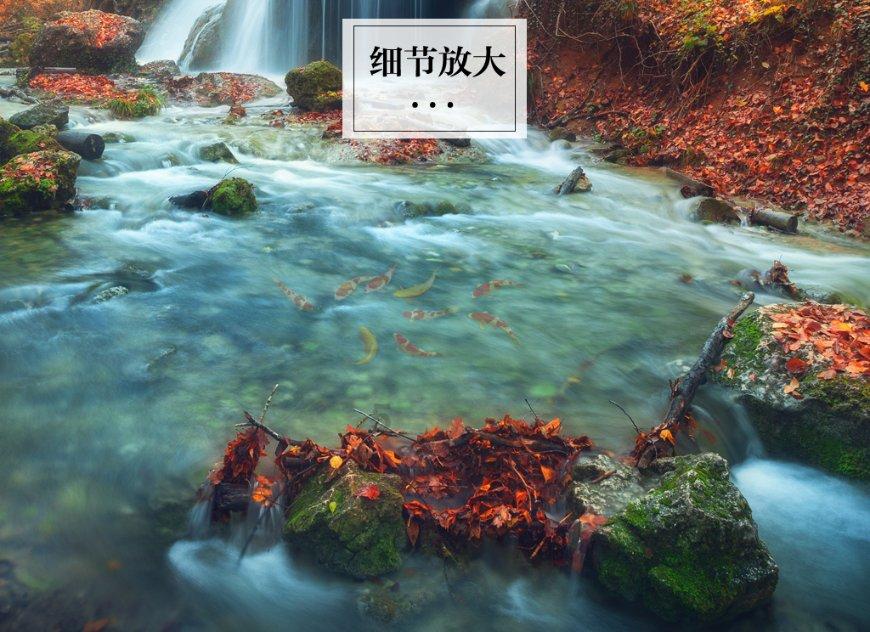 狡猾小偷